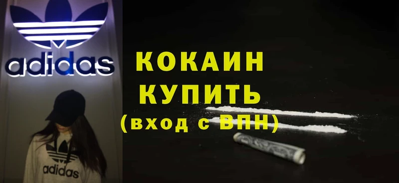 где купить   Касимов  Cocaine 98% 