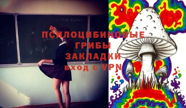 PSILOCYBIN Верхнеуральск